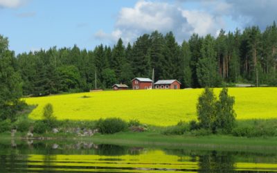 Hosting Memorable Events at Windmill Ranch Lodge